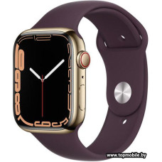 Смарт-часы Apple Watch Series 7 45mm LTE Gold Stainless Steel Dark Cherry Sport